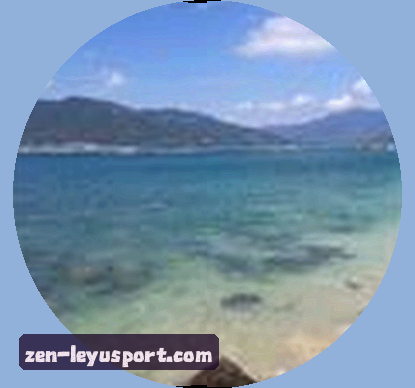 王浩